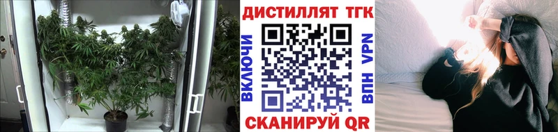 наркотики  Хасавюрт  это Telegram  Дистиллят ТГК жижа 