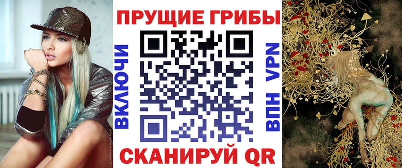 Псилоцибиновые грибы Cubensis  Хасавюрт 